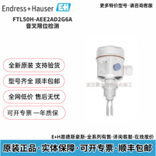 E+H����˹��˹FTL51H-AGW2BC2G6A���� ��λ���������Һ����ʲ�