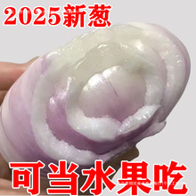 ɽ�|ˮ�����[���r�tƤ��Ƥ���[�^�A�[�����಻�����l����Ʒ����