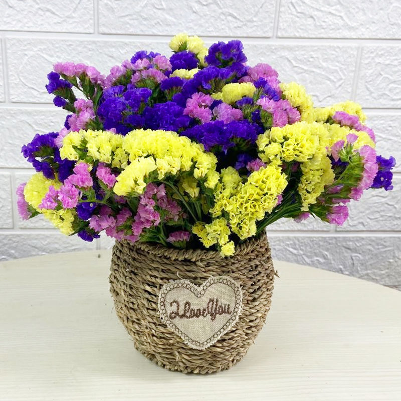 짙은 보라색, 분홍색, 노란색 30개 - 둥근 배꼽 꽃바구니 포함