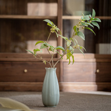 Gƿ[ մɬFsҾӔ[O߻մ̨P