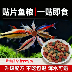 �NƬ�~ʳС���~���С�w���~�Z��ȸ�~���R�~�����D�ϟᎧ�^�p�~ʳ