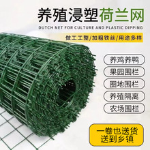 浸塑护栏防护网厂家 圈地养殖网 铁丝网围栏 低碳钢丝硬塑荷兰网