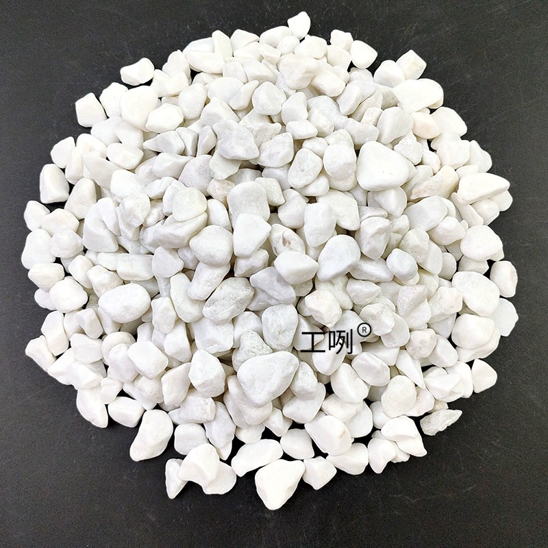 Белые камешки, камешки, аквариум, горшечные растения, декоративные белые большие и маленькие камни, садовый двор, балкон, садовый пейзаж в помещении.