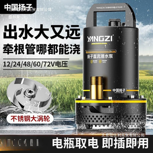 �P��ֱ����ˮ��12V48V72V�ƿ늄�܇ ��ˮ�����r�ù�ȴ���ˮ��