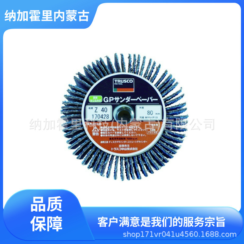 TRUSCO 中山 砂轮 P-S-DT100-11 GPF100-C36-1P GP-100TMAC