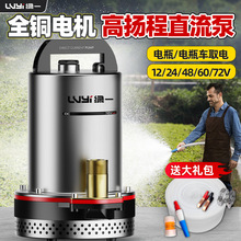 直流潜水泵12v48v72电瓶电动车抽水家用大功率农用灌溉水泵3批发