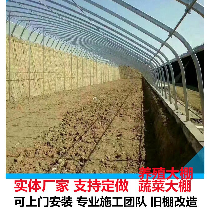 冬季生长需要的大棚 冬暖式大棚 可以上棉被的大棚 蔬菜大棚