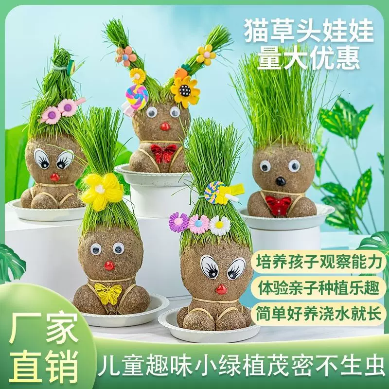 长草头娃娃开花娃娃迷你儿童植物盆栽室内阳台抖音同款猫草批发