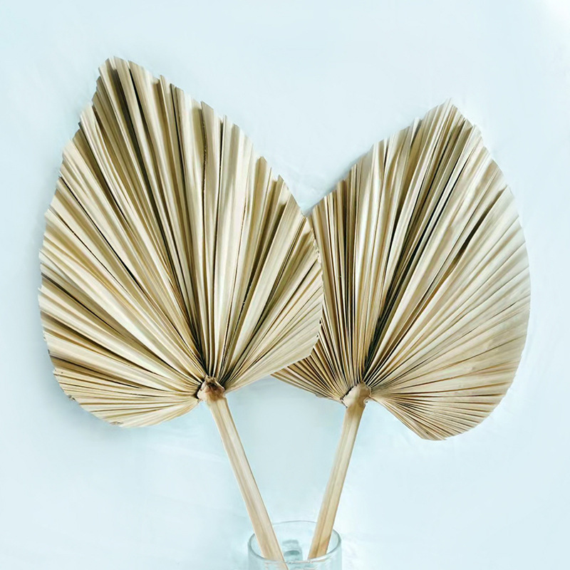 Factory Supply Areca Palm Leaf Dry Flower Palm Leaf Wedding Background Floral Arch Decoration Home DIY Heart Shape Medium