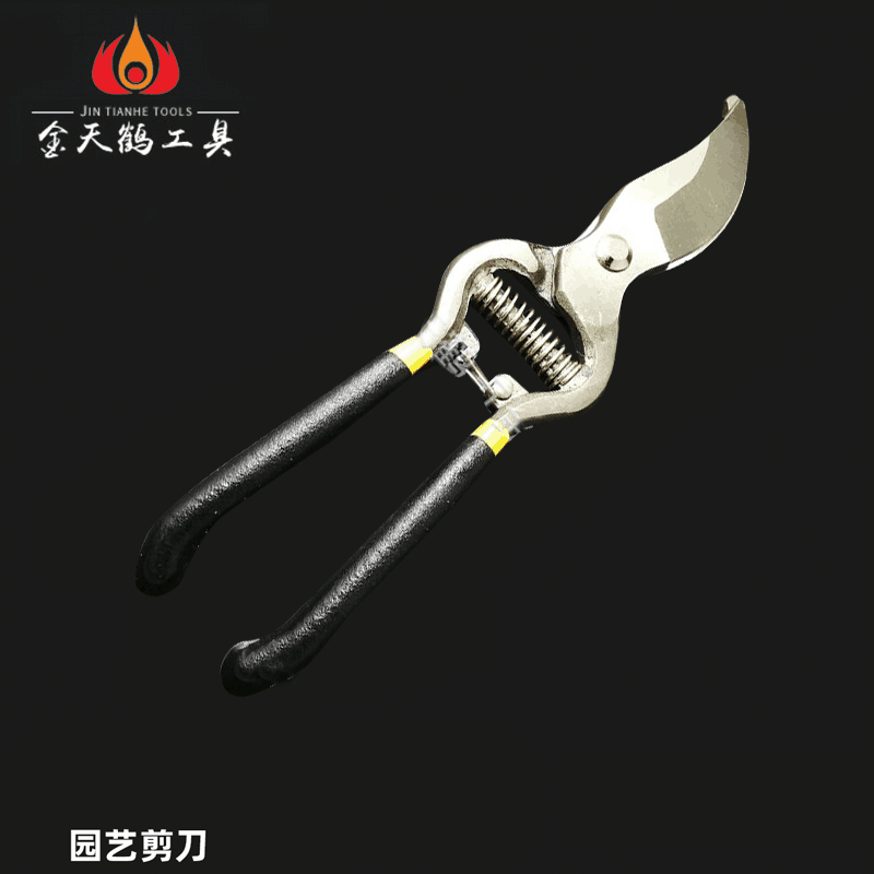 张家港剪刀厂家供应园林园艺剪刀 不锈钢花艺剪刀