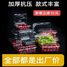 水果打包盒一次性塑料盒藍莓榴蓮盒果蔬包裝盒透明透氣擺攤獨立站