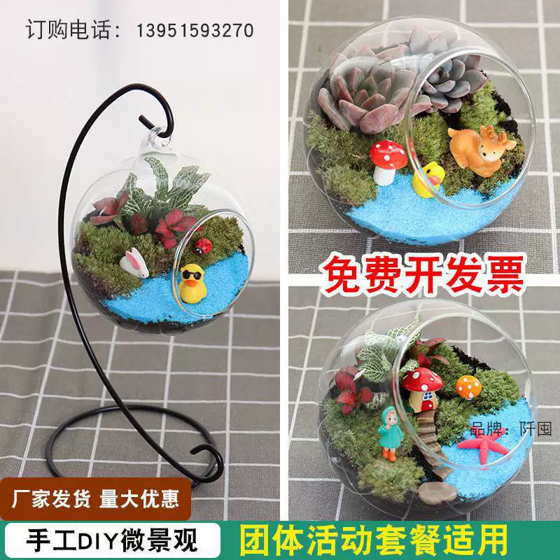 [Теплое поле деятельности] творческий мох микро пейзаж DIY Материал сумка экологическая бутылка мясистые украшения подарочный костюм