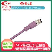 �S�Ҷ���ֱʽ���^�����B���� M12 ���T��| �������B�Ӿ�