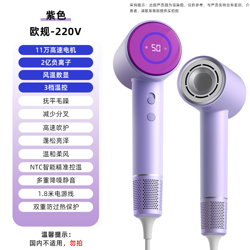 【D3-D】퍼플【유럽 규격 - 220V】- 11만 RPM 브러시리스 모터 + 2억 개 음이온 + 풍온 디지털 표시 + 자석식 흡입구 + 1600W