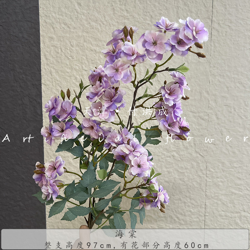 베고니아 꽃 - 그라데이션 보라색