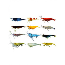 �^�p�r��ˮ�r�����r�坍�r�~�׹����rˮ��С�r������B�ښ��ѻ�