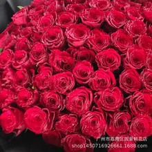 99朵玫瑰鲜花花束大花束 生日用花  告白 情人节 纪念日 送女友