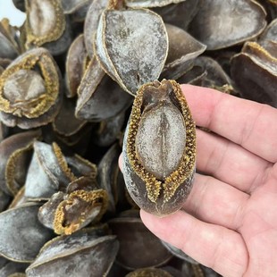 ����ʳƷ �Ϸ��ϼ�Ʒ�U ��ɴ��� 22-23�^ ���U�~���r��؛