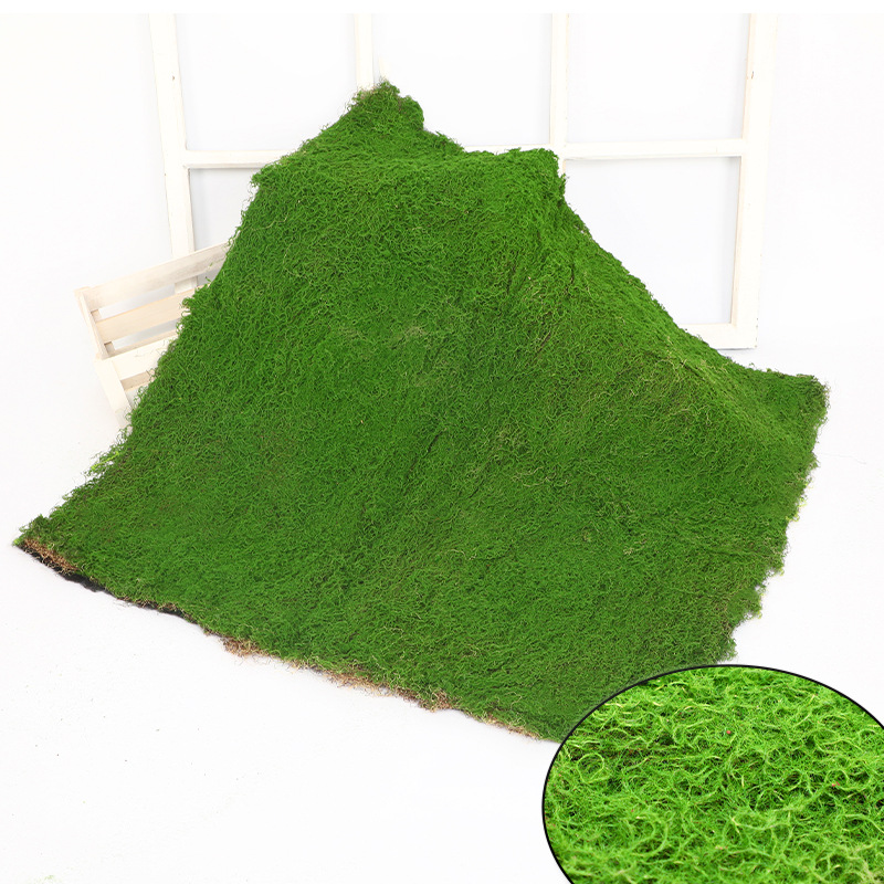 Flocking moss