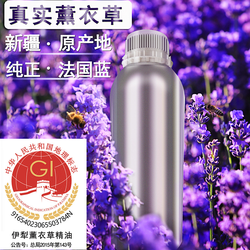 薰衣草精油批发 新疆原产地法国蓝单方精油   真实薰衣草
