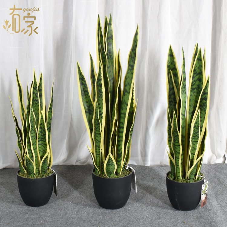 El Comercio exterior caliente-venta artificial planta verde bonsai Tigre piel orquídea decoración de interiores decoración de oro borde Agave Planta artificial