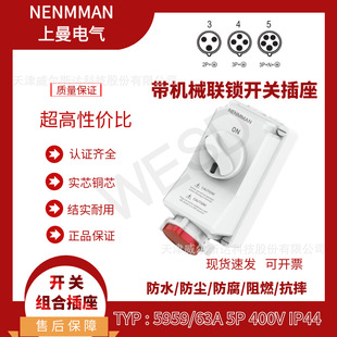 Special Offer Typ: 5959 Mechanical Interlocking Socket 63A 5-Core Ip44 Nenmman Socket with Switch Special Ticket
