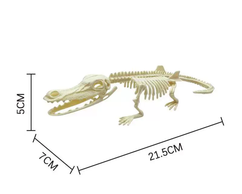 Динозавр, скелет, археологический конструктор, 21 см, ископаемый, Tyrannosaurus Rex
