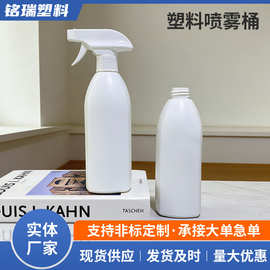 塑料喷雾器 手压式浇花喷雾瓶 植物浇水壶 家用小型浇花壶喷壶