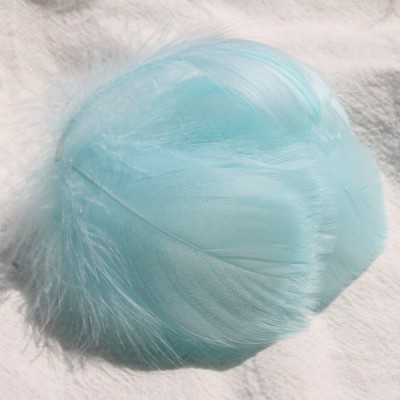 라이트 블루 (100 PC)