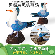 ���ķ����B���ģ�ͺ�����P�^���t�W�^����Ҿ��Ʒ��ߔ[��