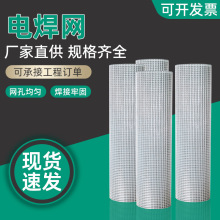 304不锈钢电焊网金属焊接筛网防鼠防鸟防蛇网宽幅养殖丝网铁丝网