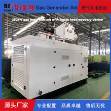 1MW���b��ʽȼ��l늙C�M����������b�ó��ڶ��_˹�ɵV���؎�