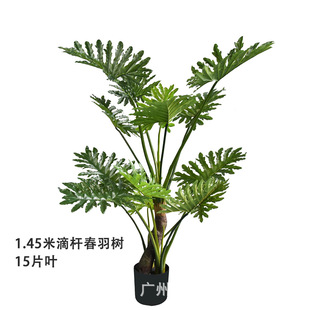 ����䴺��䴺�����˽�����������҃��b��쾰����Gֲ����