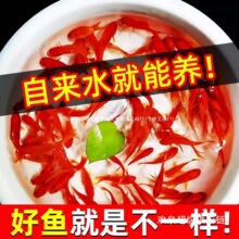 ���N�Pβ��t�ݽ��~С�\����ˮ�^�p�~����B�ͻ��ԁ�ˮ��ˮ���S��