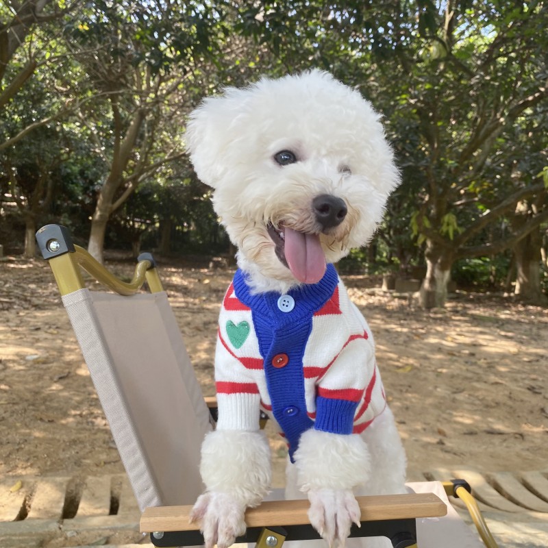 공장 준비 재고 애완 동물 스웨터 도매 개와 고양이 가을과 겨울 대비 색상 가디건 유행 브랜드 니트 따뜻한 중소형 셔츠