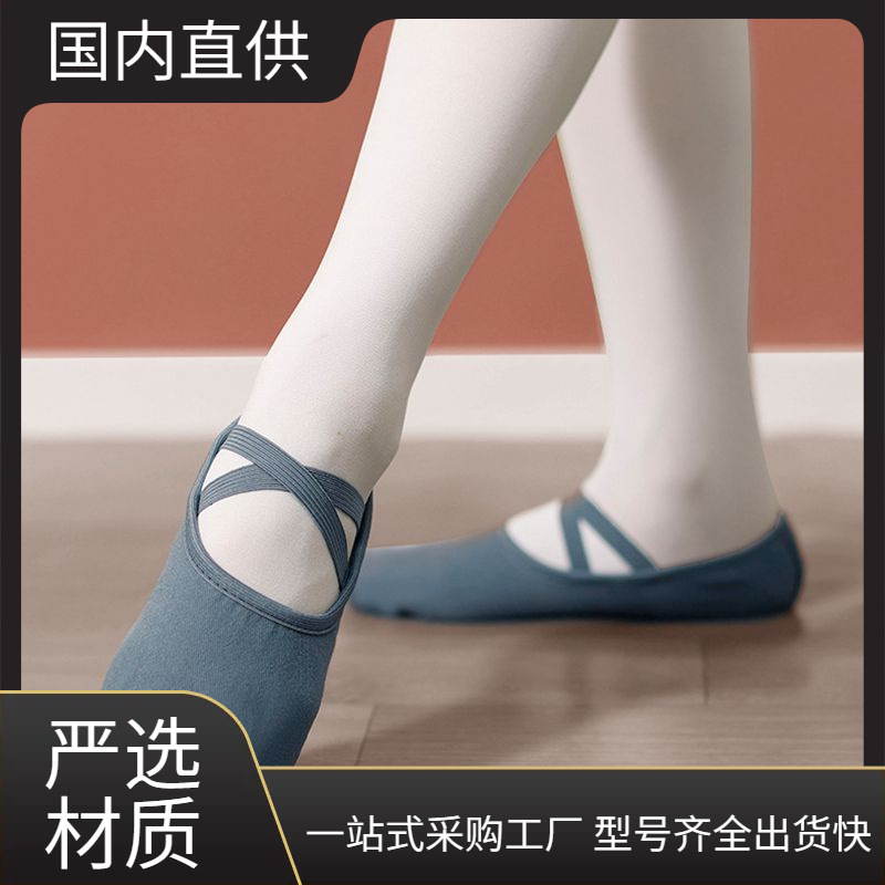 Soft-Soled Dance Shoes for Classical Dance Teachers, Chinese Dance Adult Cat Claw Professional Ballet Practice Shoes, One Piece Minimum