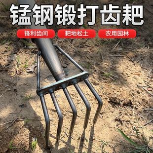 All-Terrain Reinforced Manganese Steel Five-Tooth Rake, Sea Tool for Digging Clams, Solid Wood Handle Small Rake