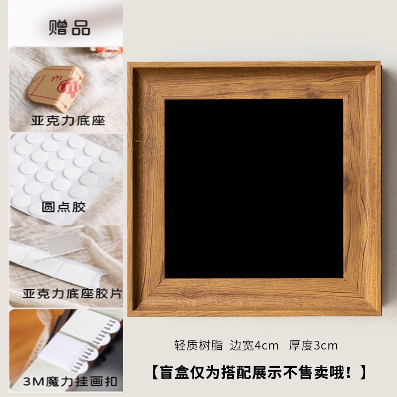 空气凤梨装饰画盲盒展示相框手办收纳客厅墙面装饰办公室植物相框|undefined