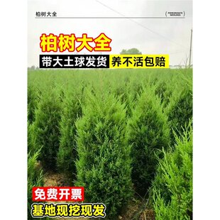 �ɰؘ��玧���ؘ�Ȱ����������ɘ䉞�؉�ǰĹǰ�Gֲ�@�־G������