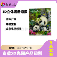 3D���w��Ů��S�Ҷ��� �����u׃����͏d�k���Ҹ߼����b�