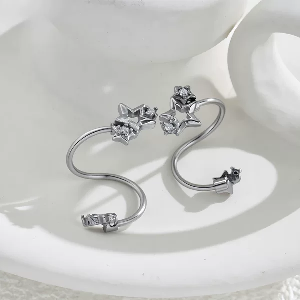 Japanese and Korean Niche Design Snowflake Pearl Stainless Steel Earrings, Elegant and Stylish for Daily Wear, Women's Accessories, Wholesale Earrings
