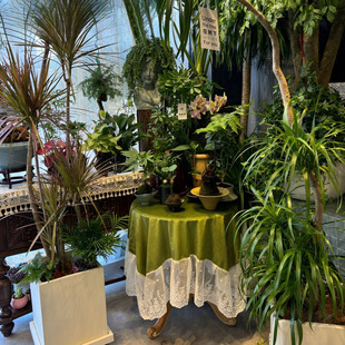 ins�L�͹ř��ϾG�����A������� �z��߅�w��̨���͏d�b�