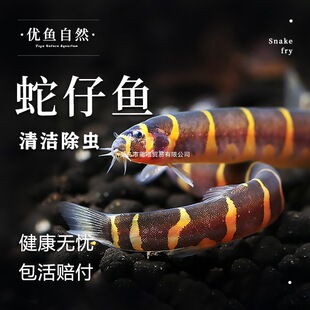 �����~�������q���횈���׌ӟᎧ�^�pС�~���B��ˮ�����С�͟���