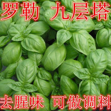 ̨ŌN ~G_  ș_ݲɳļ