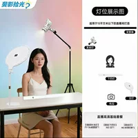2026高性价比柔光影棚灯推荐|中秋国庆直播必备