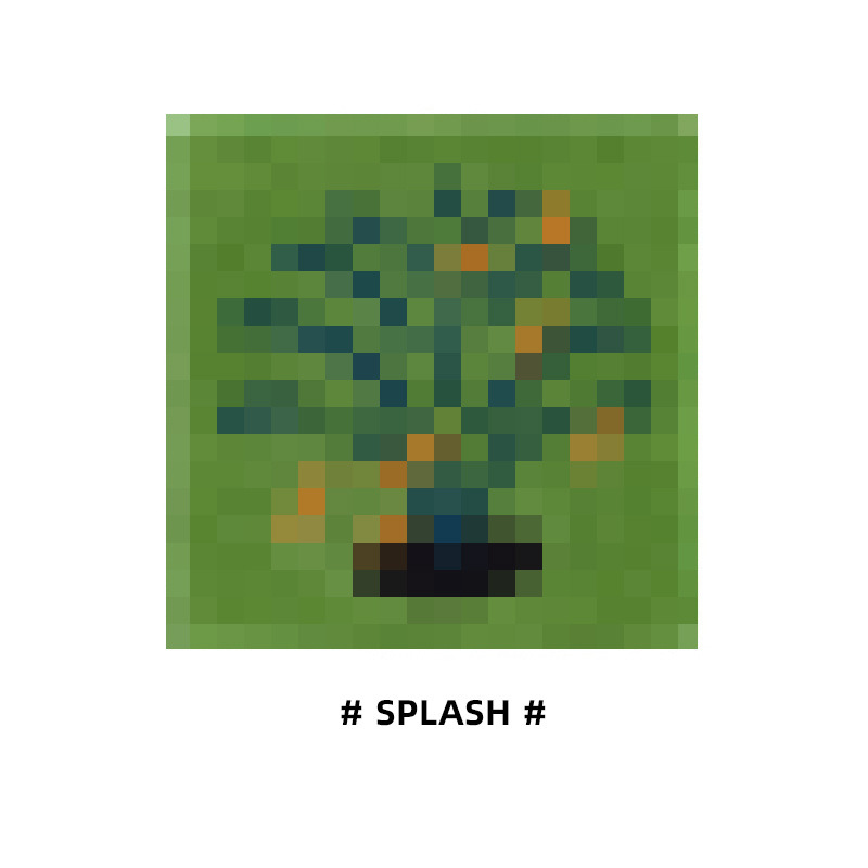 SPLASH