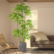 �Gֲ��������������҃ȴ��ͷ���ֲ��[���p���b٘仨