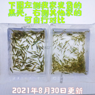 �ښ��r�����r�r���^�p�r�坍�r��ˮ�r�ѻ��r���r�ͻ���ˮ�r