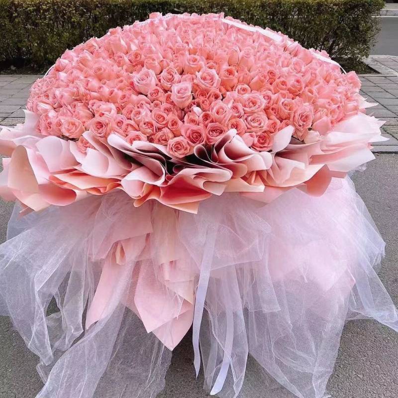 【맹세】199개의 핑크 장미 + 램프