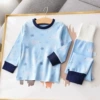 Set-Snow White Bear on Blue Background